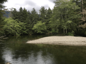 Indian River Fishing