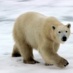 dan-bolton-QIUt_djug5o-unsplash (1)