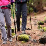Sitka-Trekking-Poles